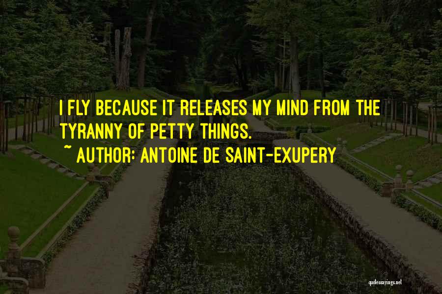 Petty Tyranny Quotes By Antoine De Saint-Exupery