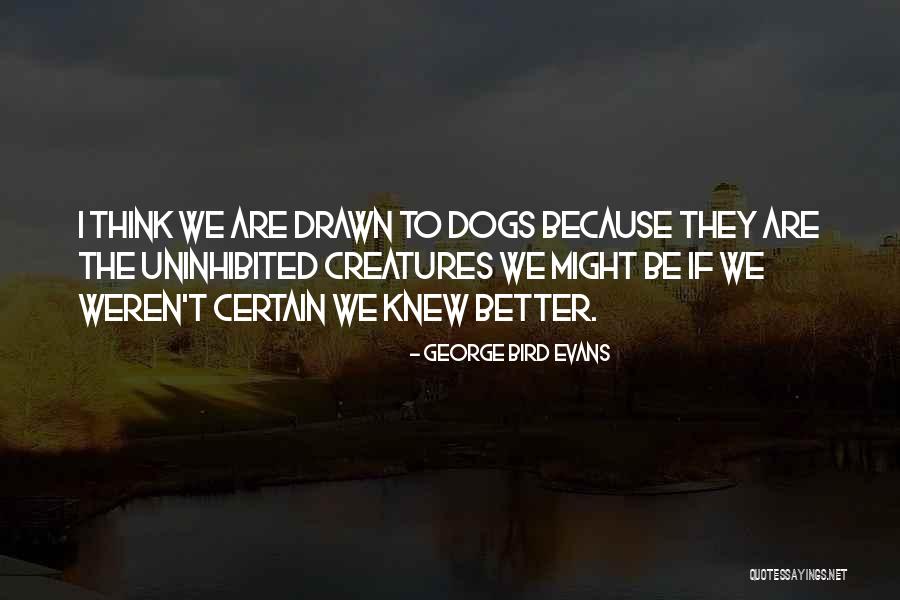 Petushok Quotes By George Bird Evans Petushok Quotes By George Bird Evans