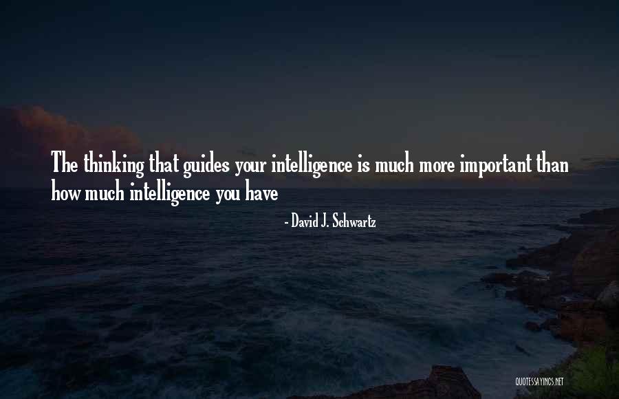 Pevec Rijeka Quotes By David J. Schwartz Pevec Rijeka Quotes By David J. Schwartz