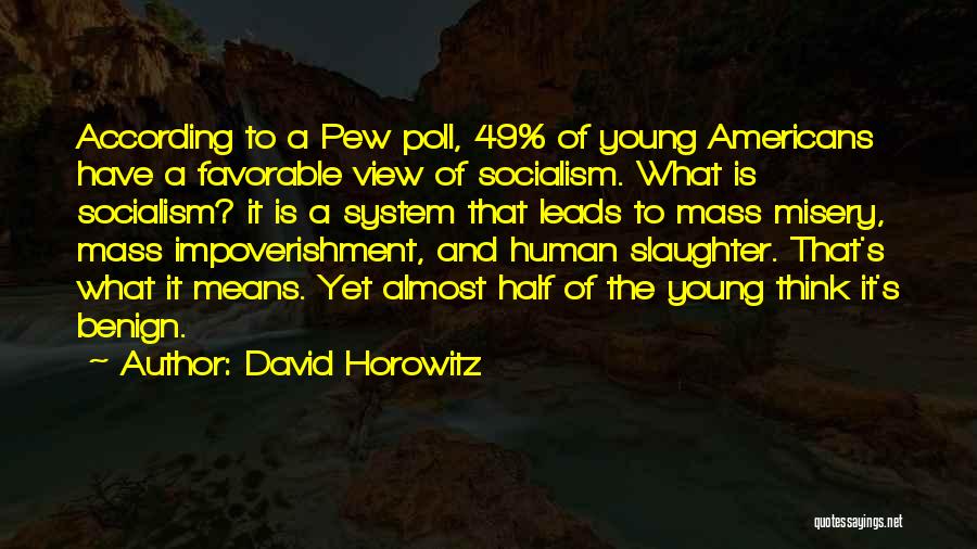 Pew Quotes By David Horowitz