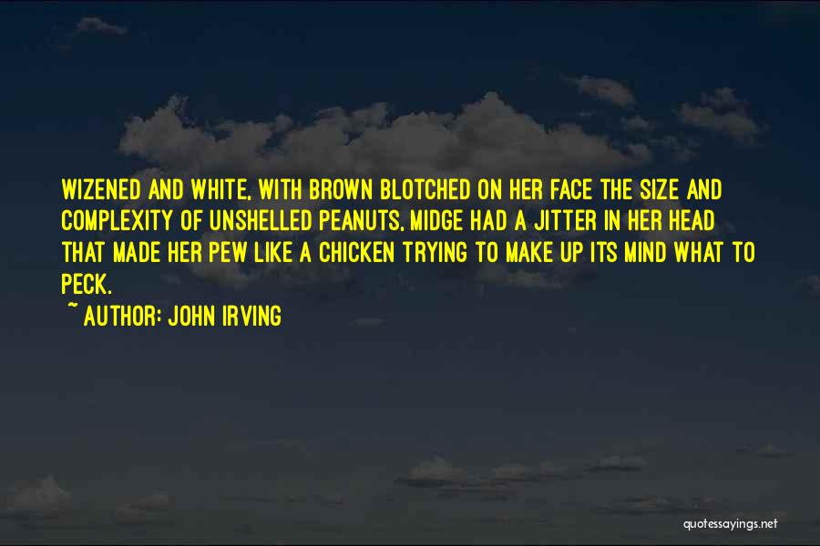 Pew Quotes By John Irving