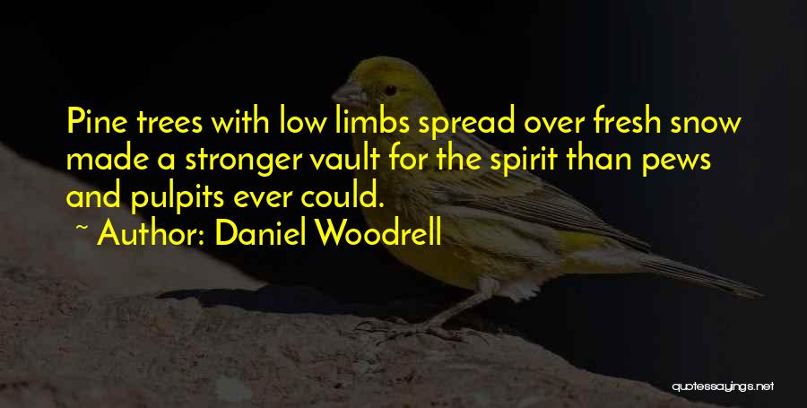 Pews Quotes By Daniel Woodrell