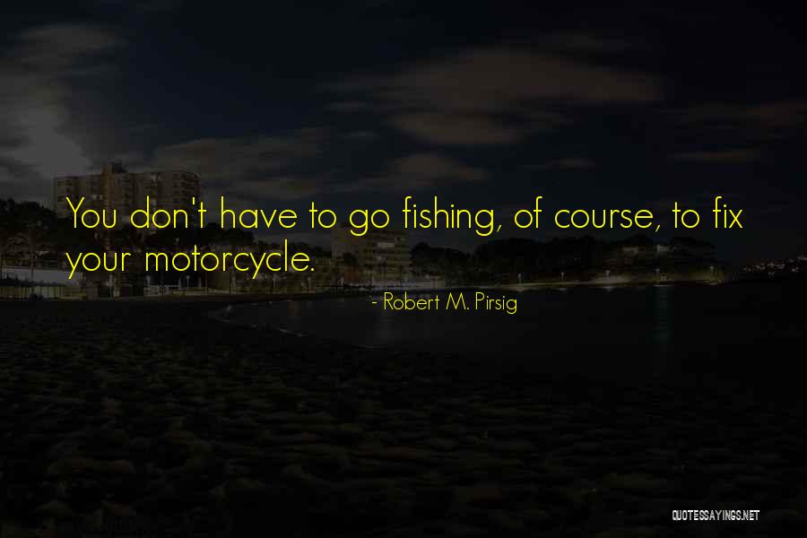 Peykeiran Quotes By Robert M. Pirsig