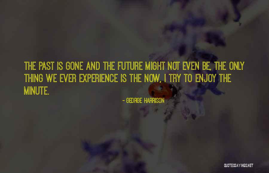 Peyrot Associates Quotes By George Harrison Peyrot Associates Quotes By George Harrison