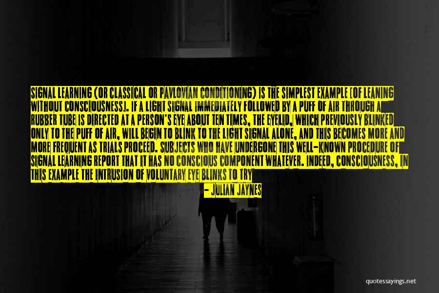 Peytons Promise Quotes By Julian Jaynes Peytons Promise Quotes By Julian Jaynes
