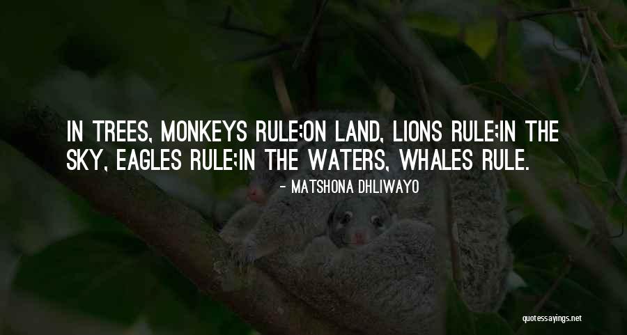Pezzente Quotes By Matshona Dhliwayo Pezzente Quotes By Matshona Dhliwayo