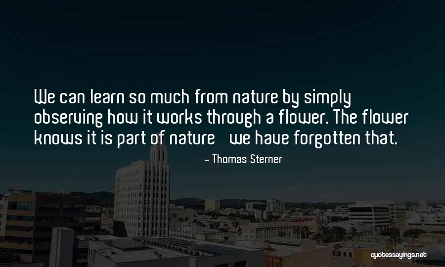 Pezzo Pizza Quotes By Thomas Sterner Pezzo Pizza Quotes By Thomas Sterner