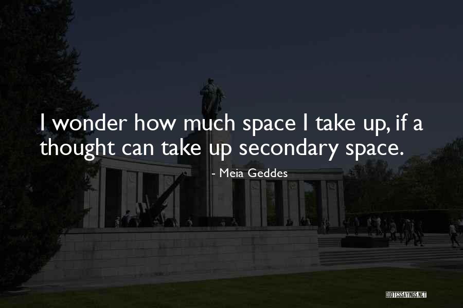 Pfahlbau Quotes By Meia Geddes