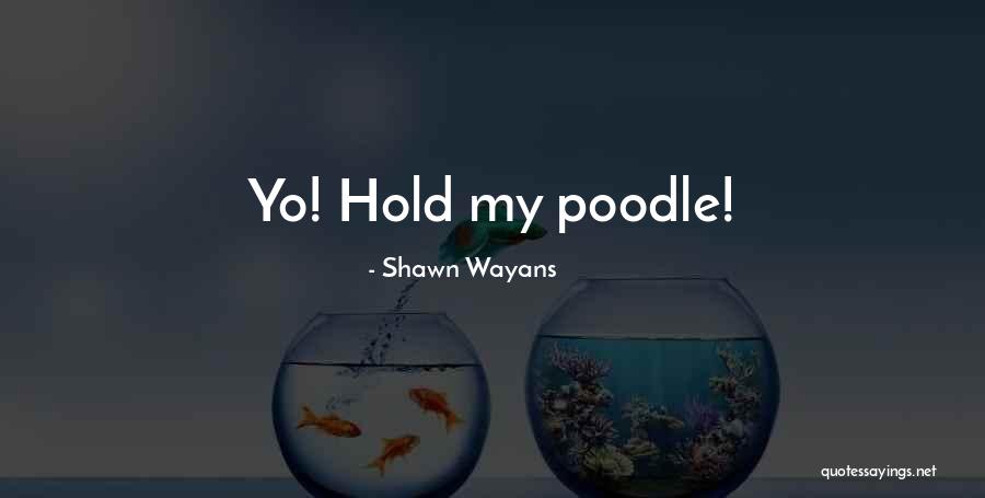 Pfankuch Auktionen Quotes By Shawn Wayans