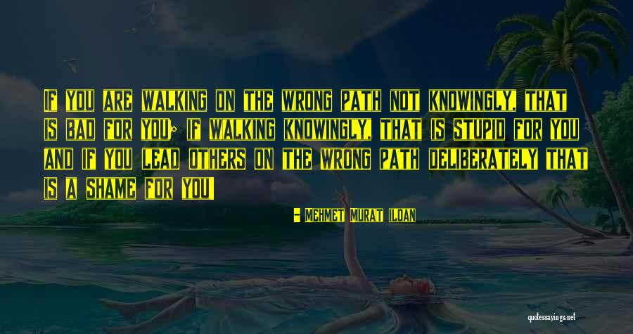 Pfiffikus Quotes By Mehmet Murat Ildan Pfiffikus Quotes By Mehmet Murat Ildan