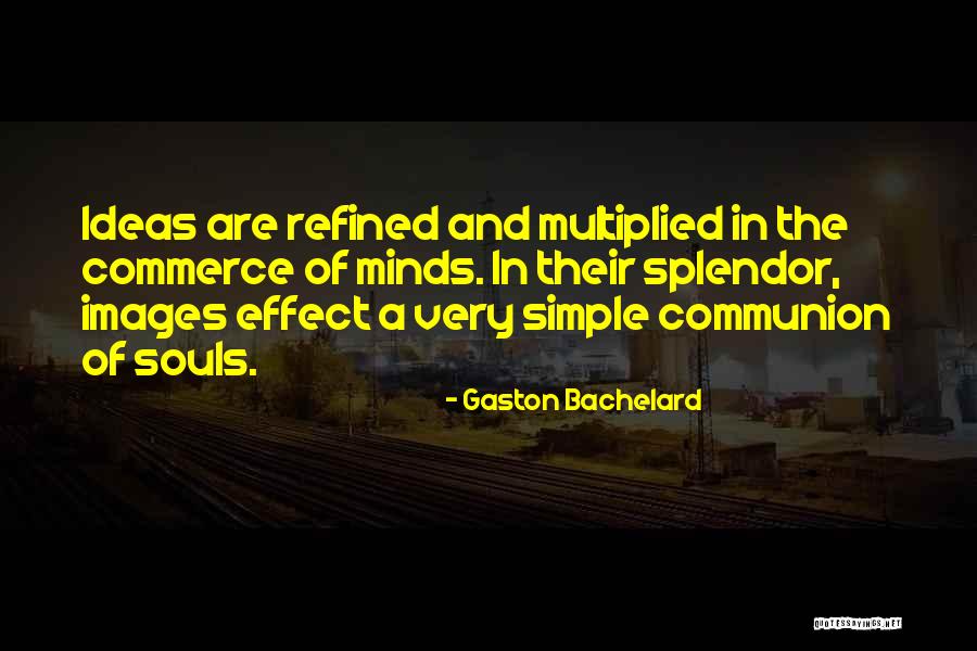 Pflumm Quotes By Gaston Bachelard Pflumm Quotes By Gaston Bachelard
