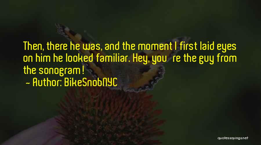 Pg 247 Quotes By BikeSnobNYC