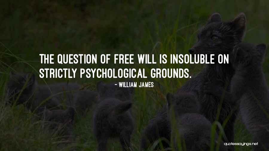 Pg509 Quotes By William James Pg509 Quotes By William James