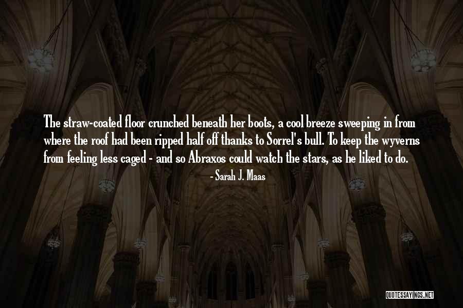 Pg67 Quotes By Sarah J. Maas Pg67 Quotes By Sarah J. Maas