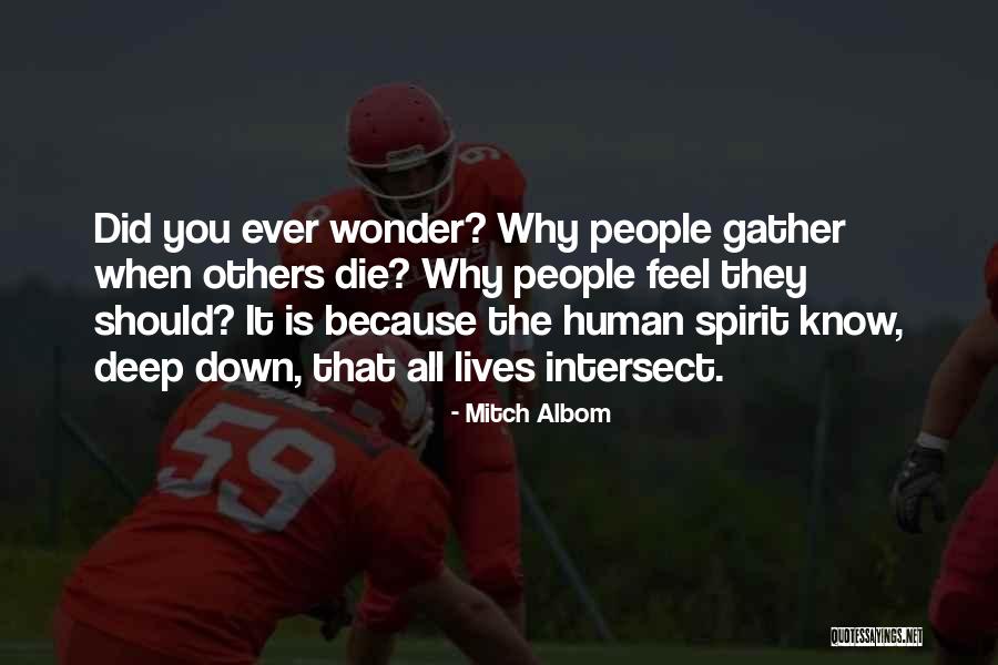 Ph Ng D M C Quotes By Mitch Albom Ph Ng D M C Quotes By Mitch Albom