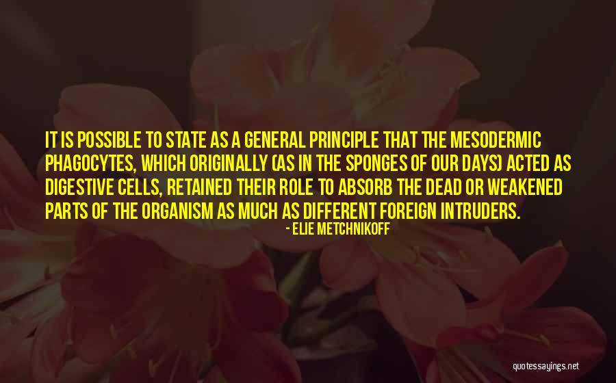 Phagocytes Quotes By Elie Metchnikoff Phagocytes Quotes By Elie Metchnikoff