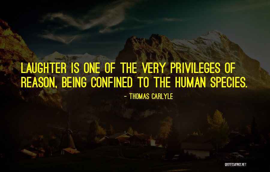Phakamani Mahlambi Quotes By Thomas Carlyle Phakamani Mahlambi Quotes By Thomas Carlyle