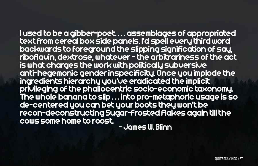 Phallocentric Quotes By James W. Blinn