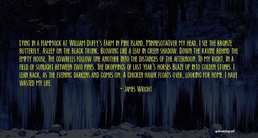 Phallocentric Quotes By James Wright