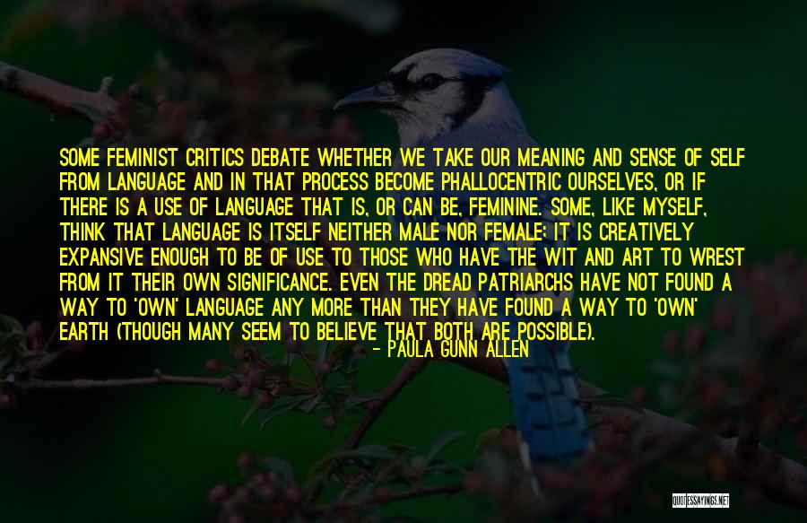 Phallocentric Quotes By Paula Gunn Allen