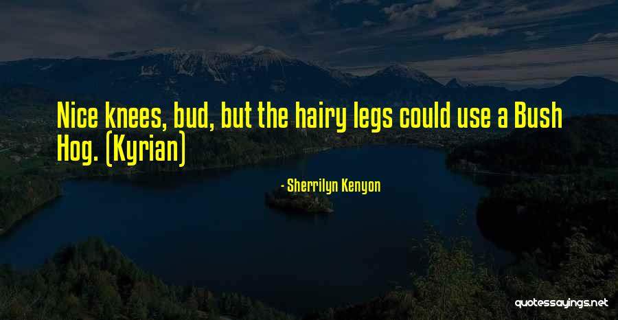 Phantasie Game Quotes By Sherrilyn Kenyon Phantasie Game Quotes By Sherrilyn Kenyon