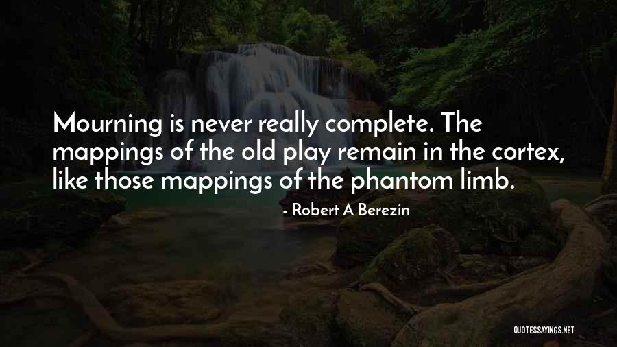 Phantom Limb Quotes By Robert A Berezin