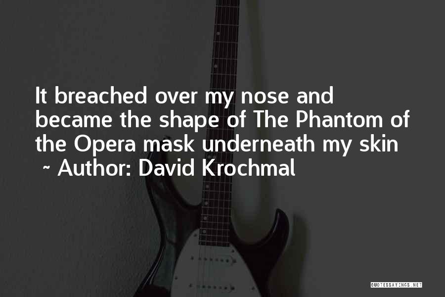 Phantom Of The Opera Quotes By David Krochmal