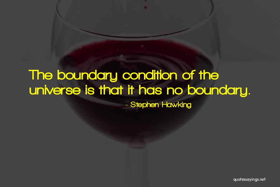 Pharmacogenomics Vs Pharmacogenetics Quotes By Stephen Hawking