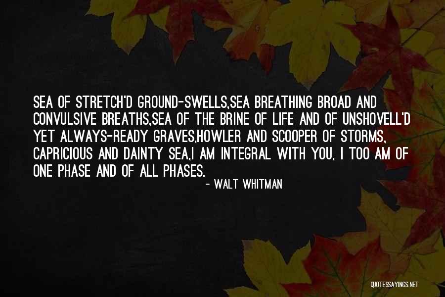 Phases Quotes By Walt Whitman Phases Quotes By Walt Whitman