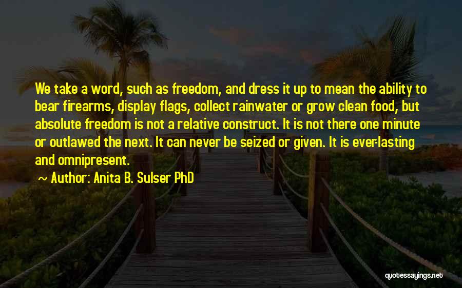 Phd Quotes By Anita B. Sulser PhD