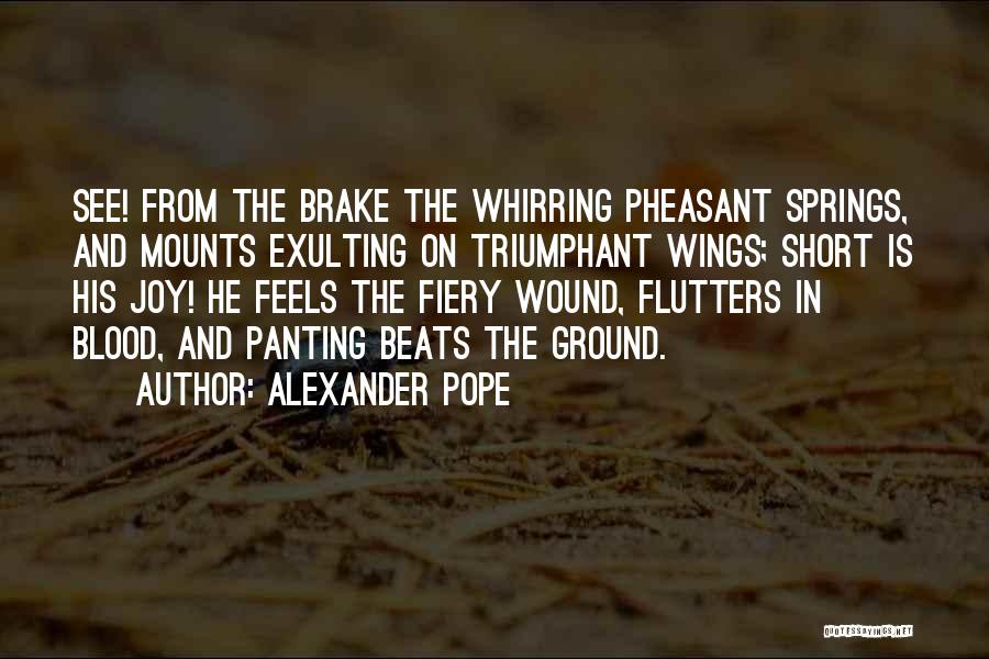 Pheasant Quotes By Alexander Pope