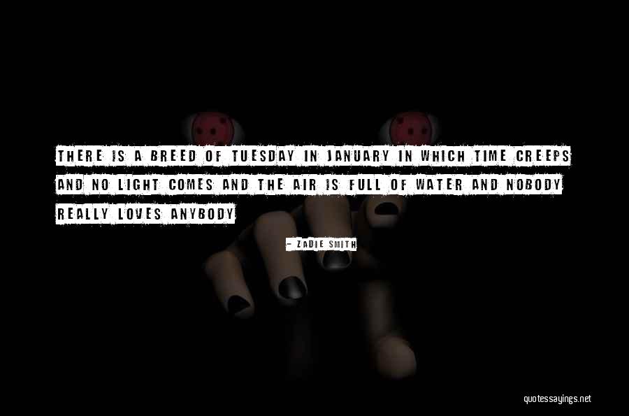 Pheebo Quotes By Zadie Smith Pheebo Quotes By Zadie Smith