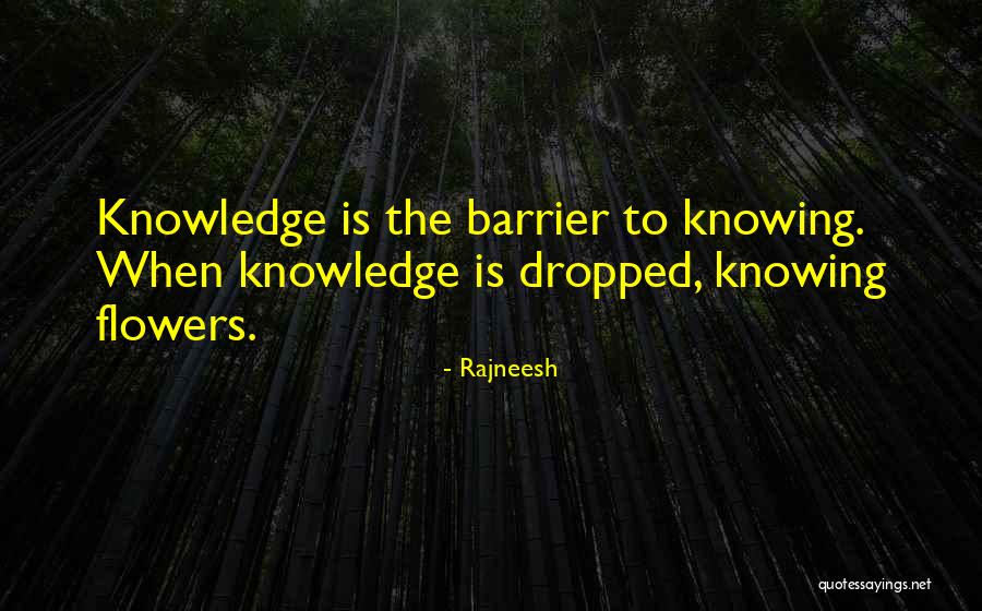 Pheebz Quotes By Rajneesh Pheebz Quotes By Rajneesh