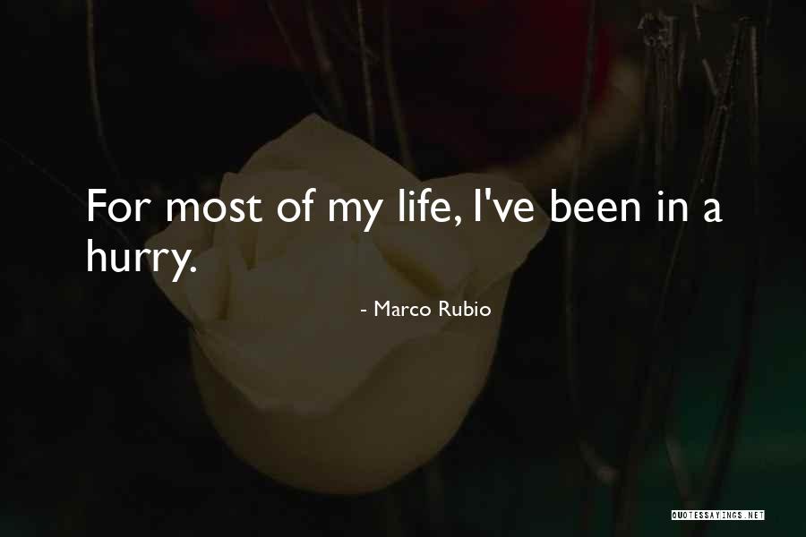 Phemister And Hermeneutics Quotes By Marco Rubio Phemister And Hermeneutics Quotes By Marco Rubio