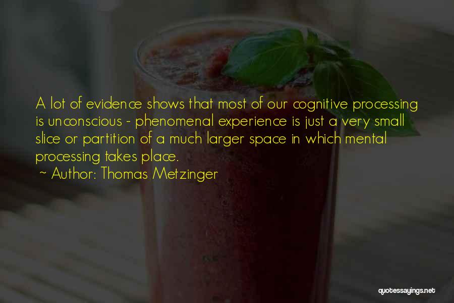 Phenomenal Quotes By Thomas Metzinger