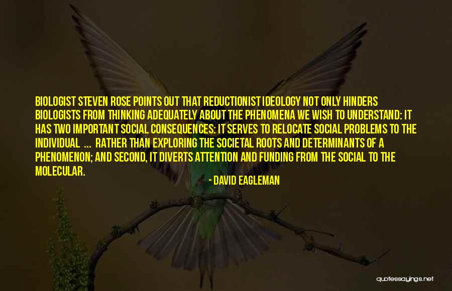 Phenomenon Vs Phenomena Quotes By David Eagleman Phenomenon Vs Phenomena Quotes By David Eagleman