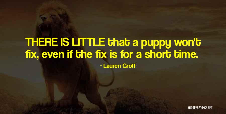 Pheobe Quotes By Lauren Groff Pheobe Quotes By Lauren Groff