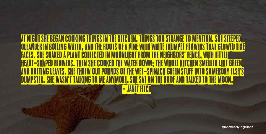 Pheoby And Mick Quotes By Janet Fitch Pheoby And Mick Quotes By Janet Fitch