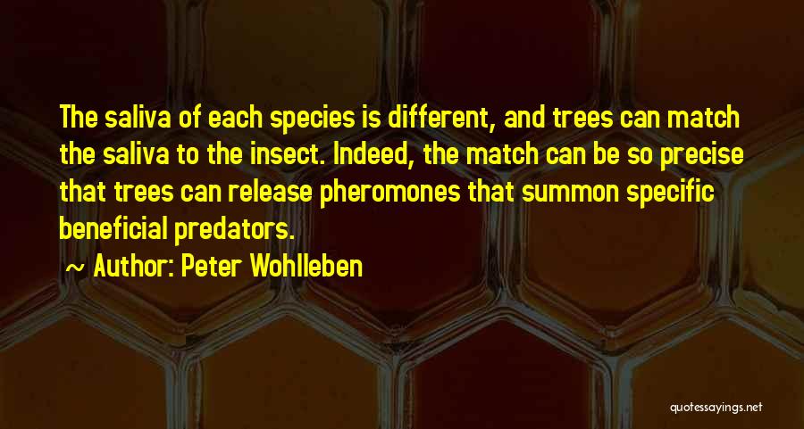 Pheromones Quotes By Peter Wohlleben