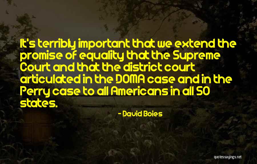 Phidian Style Quotes By David Boies