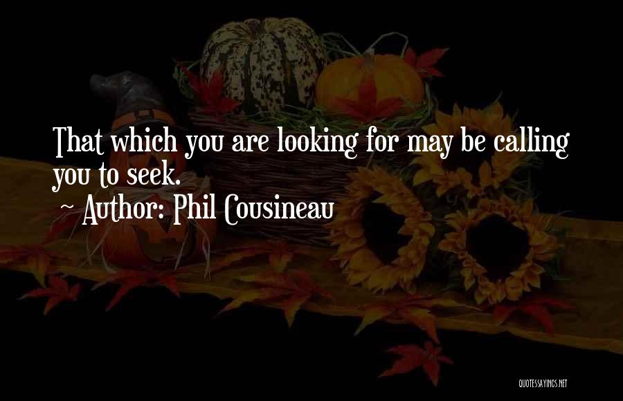 Phil Cousineau Quotes 1499051