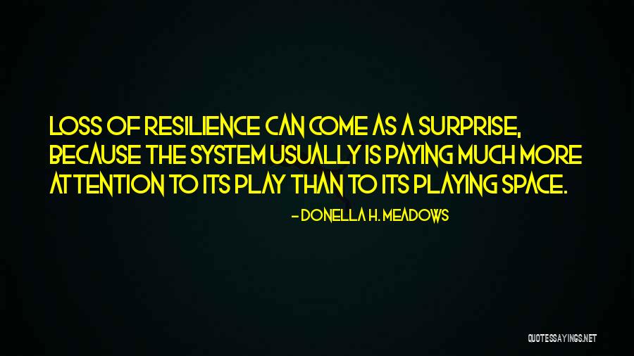Philadelphia Eagles Birthday Quotes By Donella H. Meadows Philadelphia Eagles Birthday Quotes By Donella H. Meadows