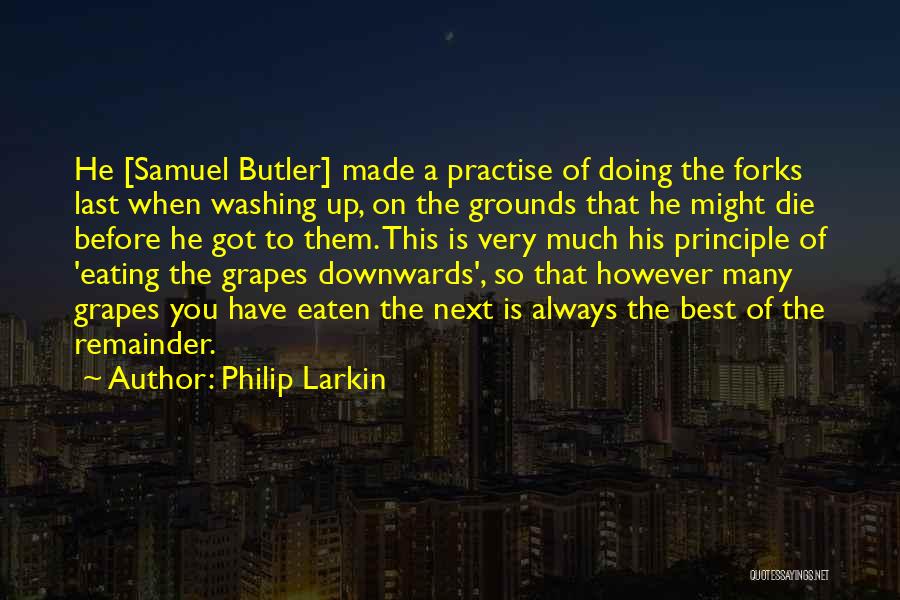 Philip Larkin Quotes 641621