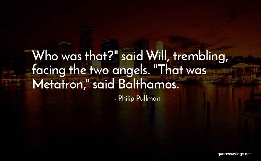 Philip Pullman Quotes 1374448