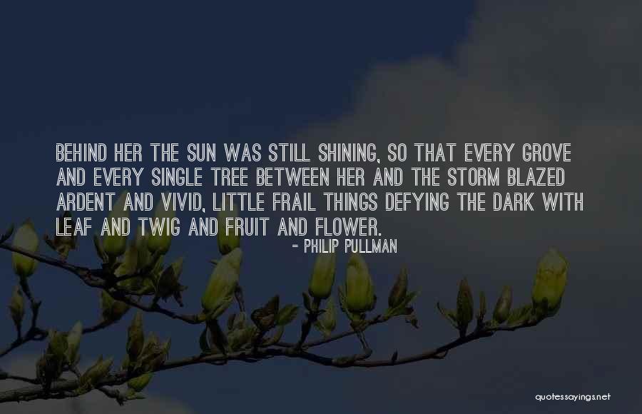 Philip Pullman Quotes 815812