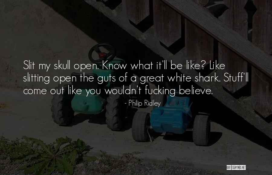 Philip Ridley Quotes 539281 Philip Ridley Quotes 539281