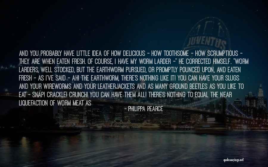Philippa Pearce Quotes 988406 Philippa Pearce Quotes 988406