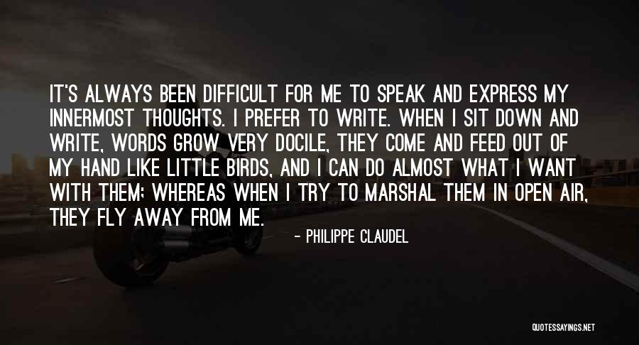 Philippe Claudel Quotes 1413564