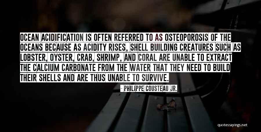 Philippe Cousteau Jr. Quotes 1499558 Philippe Cousteau Jr. Quotes 1499558