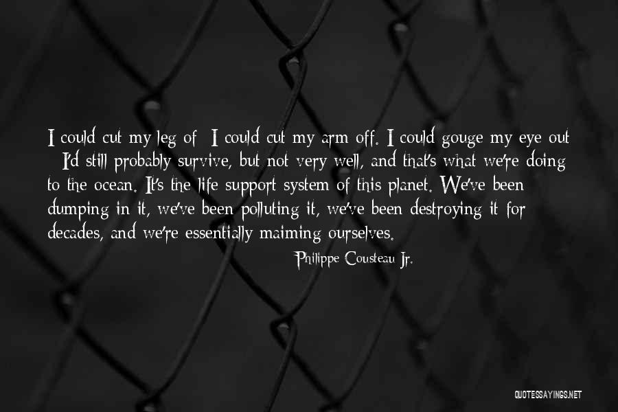 Philippe Cousteau Jr. Quotes 1738218 Philippe Cousteau Jr. Quotes 1738218